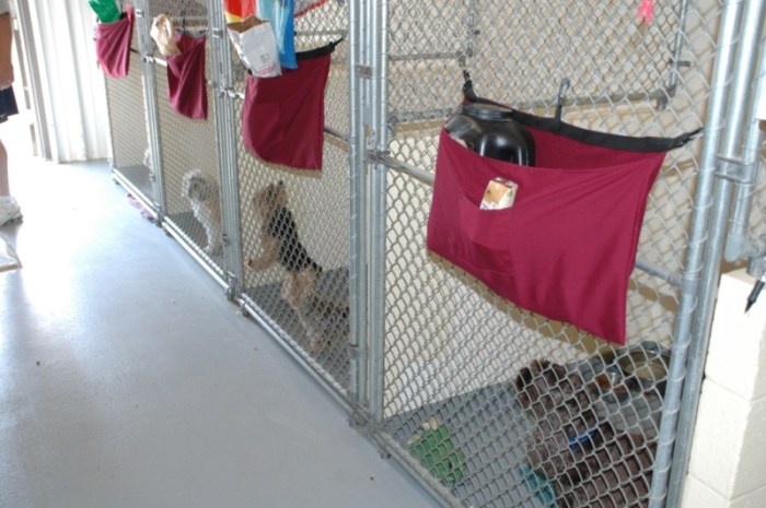 Tour Beverly's Overnight Boarding Facilities