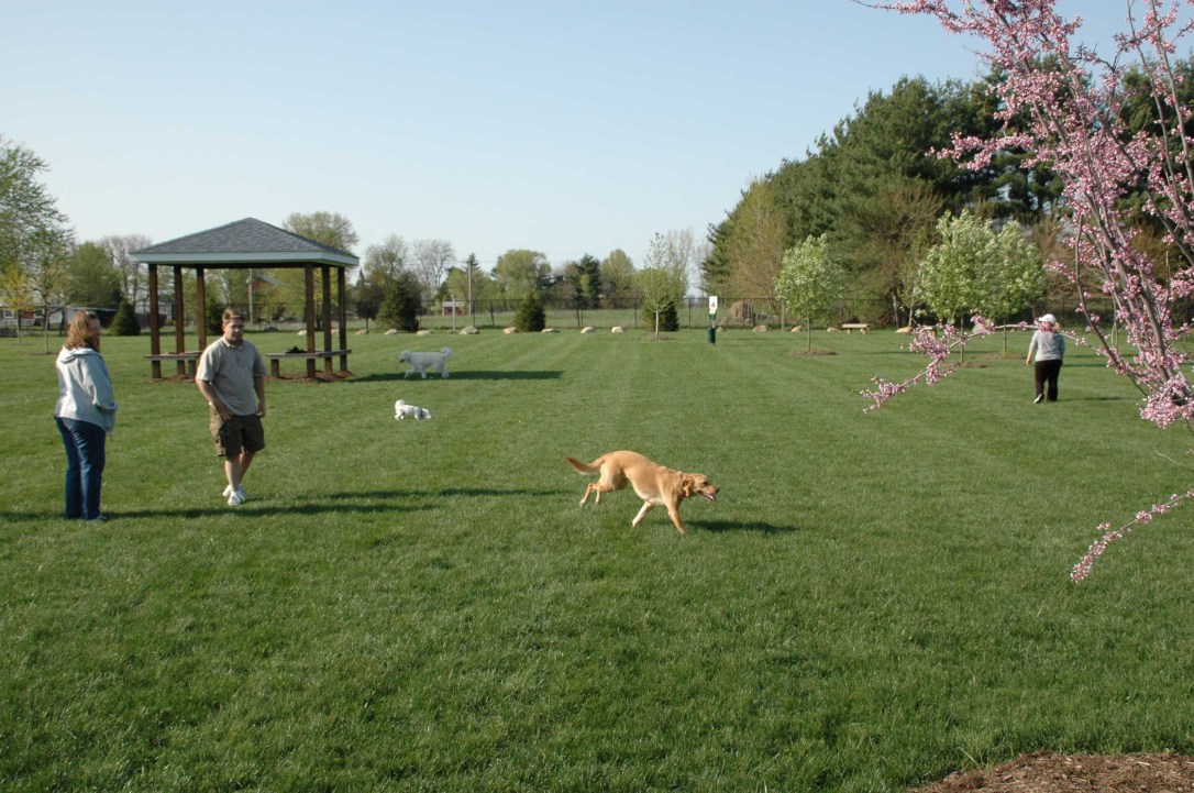 Spectacular Dog Training In Fishers Indiana Design for Mobile Spectacular Dog Training In Fishers Indiana Design for Mobile