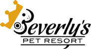 Beverly's Pet Resort | Fishers, IN