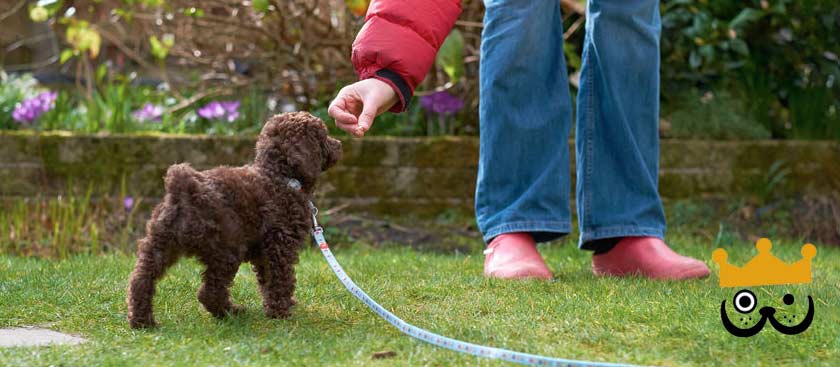 Training Boarding Package