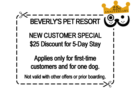 Click for printer-friendly new customer special discount boarding coupon. (opens in new window)