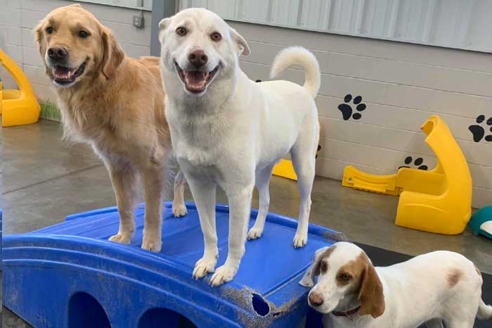 Facebook Photo of Fun at Beverly's