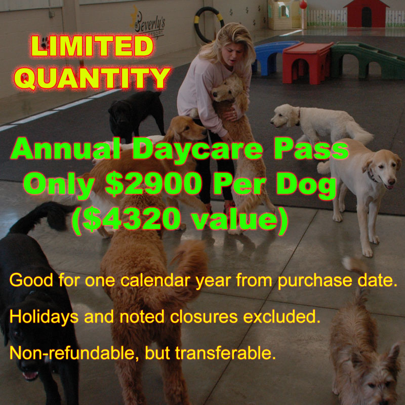 Annual Daycare Pass - Limited-Quantity - Only $2900 Per Dog