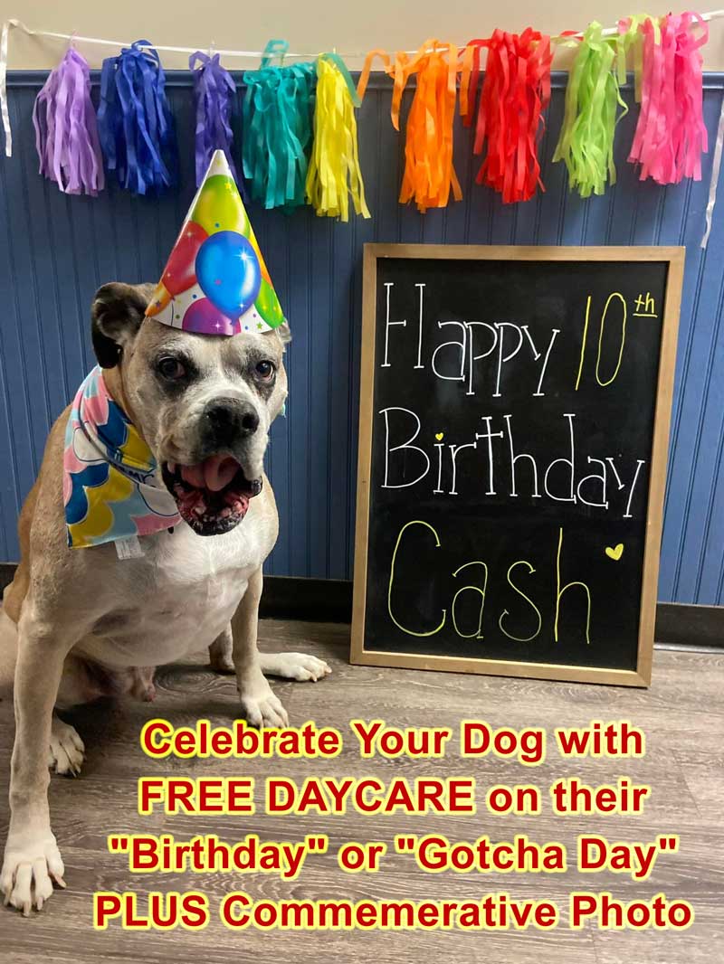 FREE DAY OF DAYCARE