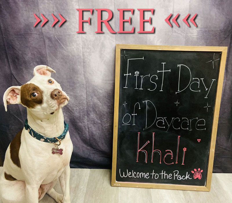 First Day of Daycare is FREE