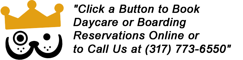 To Book Overnight Dog Boarding, Click a Button or Call 317-773-6550