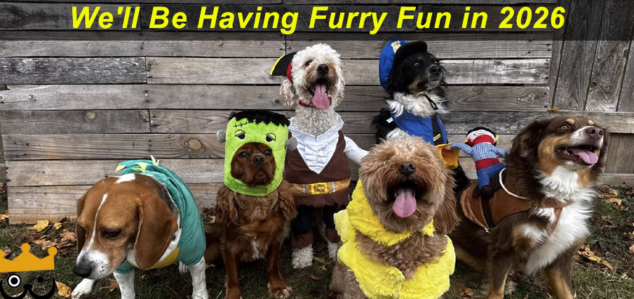 Fun Photoshoots Coming to Beverly's Pet Resort in 2025