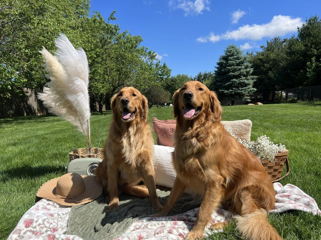 Beverly’s Pet Resort - Providing personalized pet care to Central Indiana for 30 years.