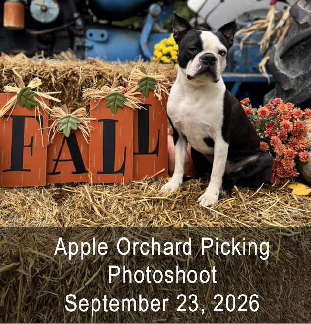 Elevated Bed is Featured Option for August; Apple Orchard Picking Photoshoot is September&nbsp;23